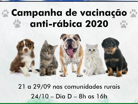 Dia D da vacinação antirrábica será dia 24/10