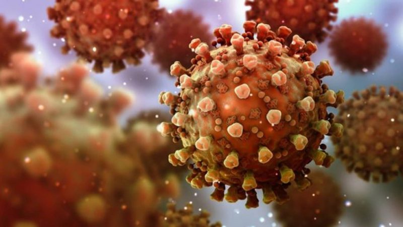 Brasil tem primeiro caso confirmado de reinfecção pelo coronavírus
