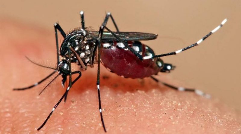 Itaúna tem 185 casos prováveis de dengue