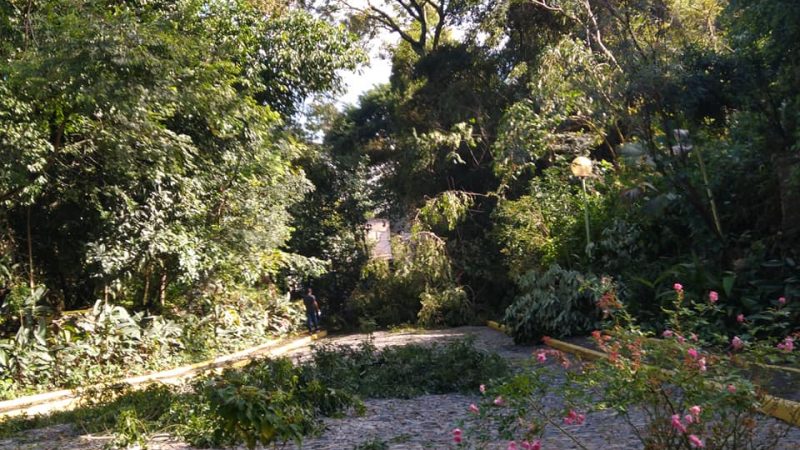 Tempestade causa alagamentos e derrubada de árvores na gruta e pela cidade