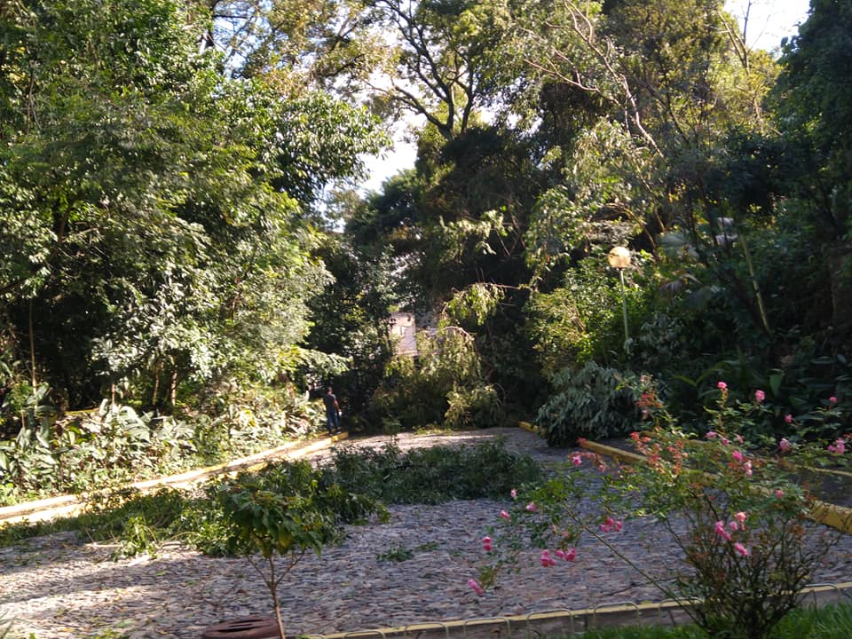 Tempestade causa alagamentos e derrubada de árvores na gruta e pela cidade