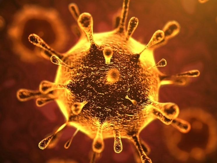 Cinco crianças estão registradas hoje como contaminadas pelo vírus