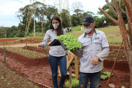 Programa de Educação Ambiental incentiva cultivo de horta na Mineração Usiminas