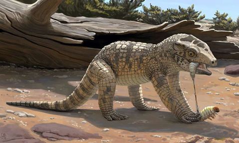 Conhece a ‘Terra dos Dinossauros’ em Minas? Ela tem novo habitante