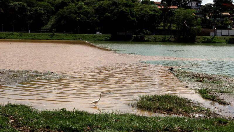 Lagoa da Pampulha amanhece com ‘duas camadas’; entenda o fenômeno