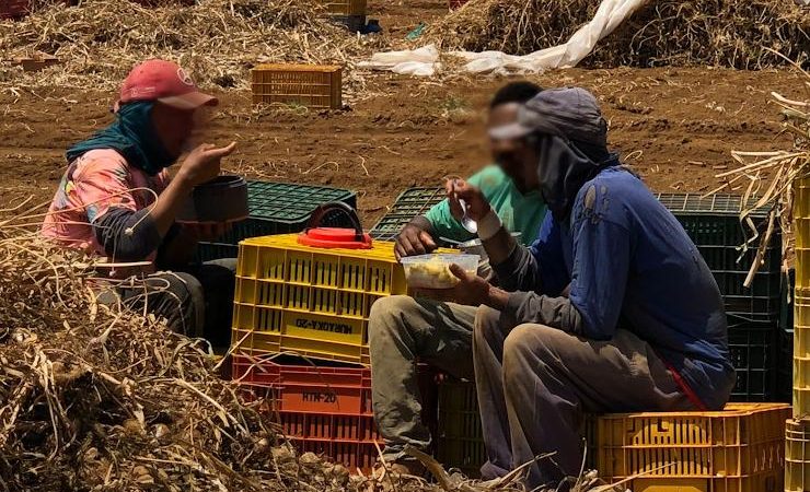 Mais de 100 pessoas submetidas a trabalho análogo ao de escravo são resgatadas em Minas