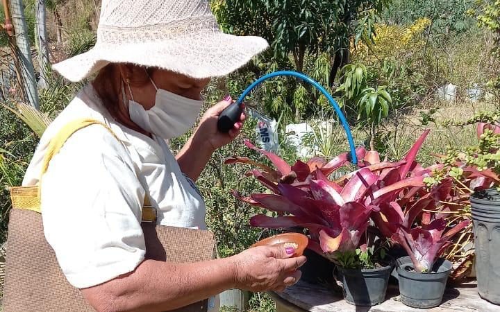 Infestação do Aedes Aegypti na cidade melhora, mas ainda é o dobro do aceitável