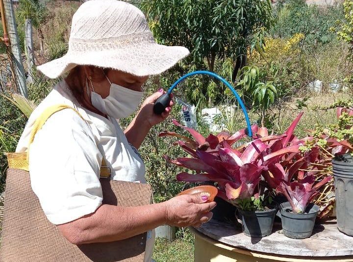 Infestação do Aedes Aegypti na cidade melhora, mas ainda é o dobro do aceitável