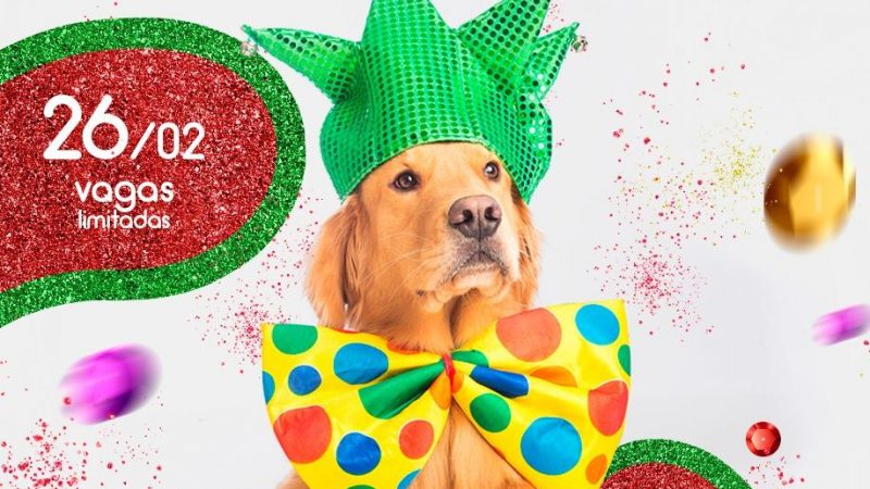 Fotógrafa Pet e Veterinária criam ensaio temático de Carnaval para ajudar Lar Temporário