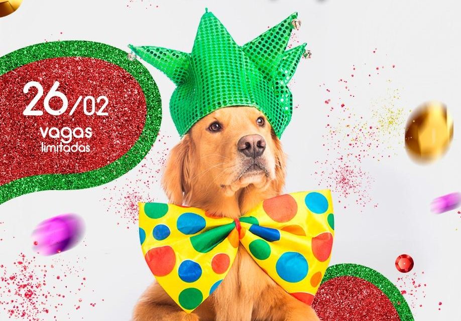 Fotógrafa Pet e Veterinária criam ensaio temático de Carnaval para ajudar Lar Temporário