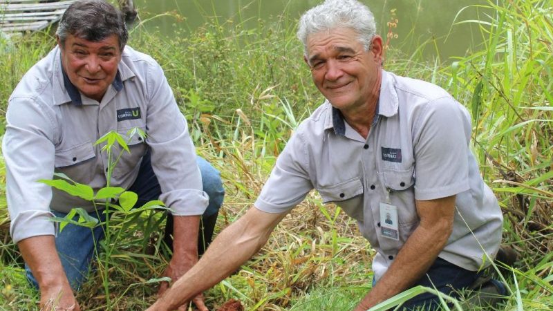 Projeto Mina D´Água promove a recuperação de mais de sete hectares na região da Serra Azul