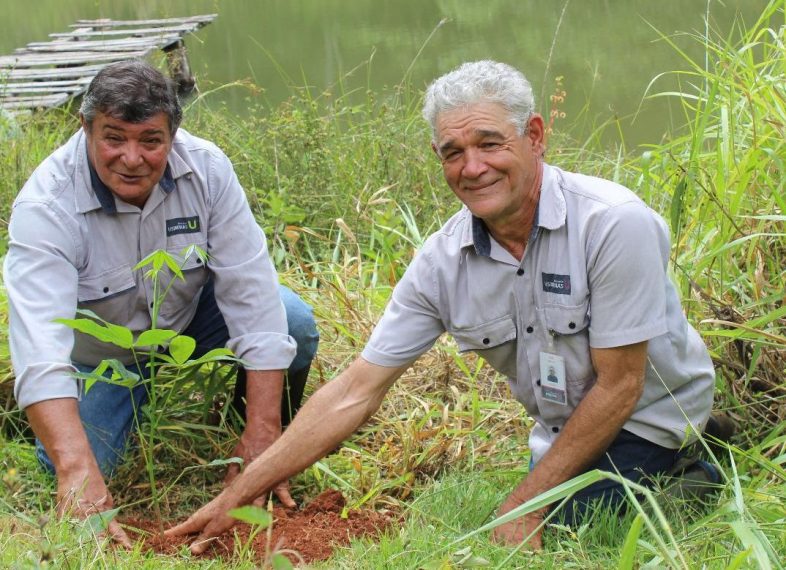 Projeto Mina D´Água promove a recuperação de mais de sete hectares na região da Serra Azul