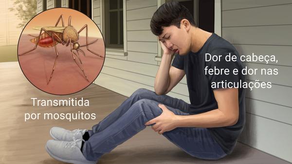 Itaúna é a cidade com mais casos prováveis de  chikungunya do Centro-Oeste
