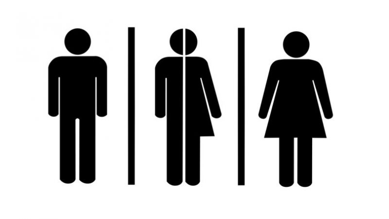 Lei proíbe instalações  de banheiros “multigêneros” ou “unissex” em Itaúna