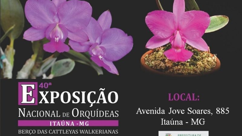Começa hoje a 40ª Exposição Nacional de Orquídeas em Itaúna