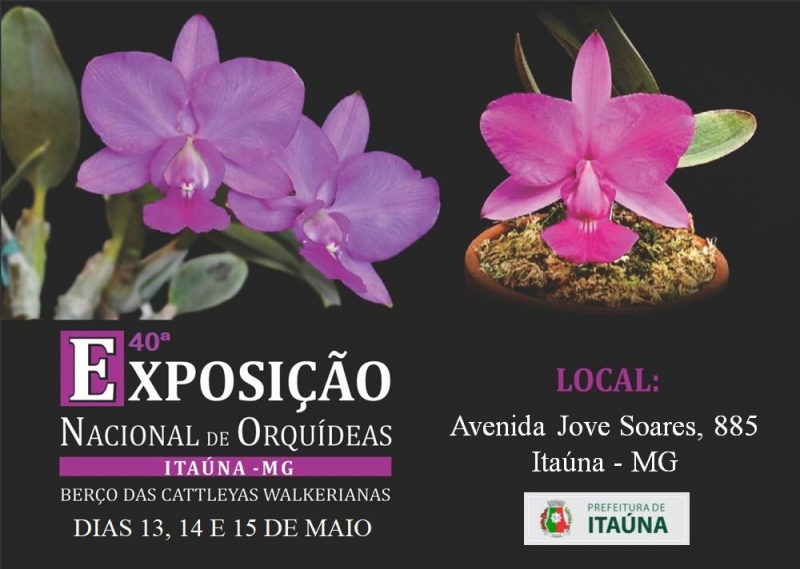 Começa hoje a 40ª Exposição Nacional de Orquídeas em Itaúna