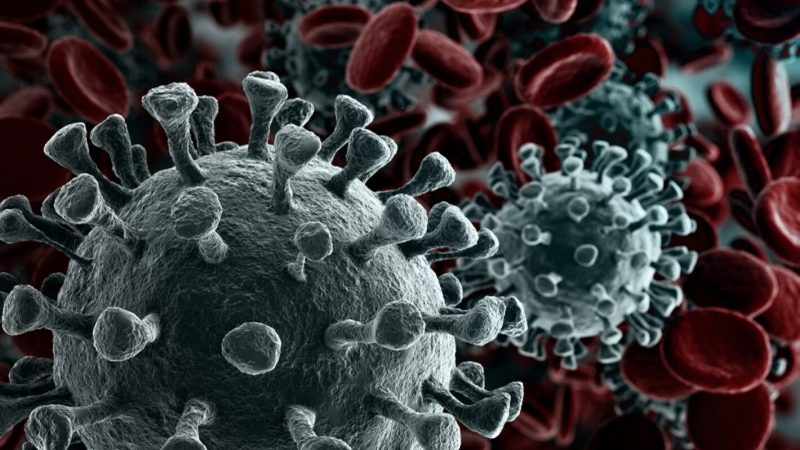 Conselho de Saúde alerta Governo sobre risco de nova pandemia