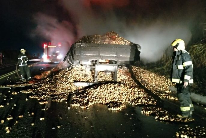 MG 050: carreta com 20 mil kg de cebolas pega fogo
