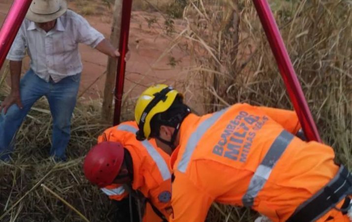 Vaca cai em cisterna e morre na zona rural de Itaúna