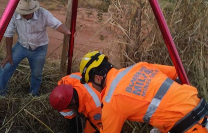 Vaca cai em cisterna e morre na zona rural de Itaúna