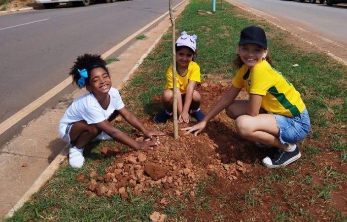 Rotary Itaúna faz plantio de árvores na Avenida Gabriel da Silva Pereira