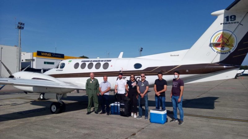 Minas capta 11 órgãos para doações em um único dia