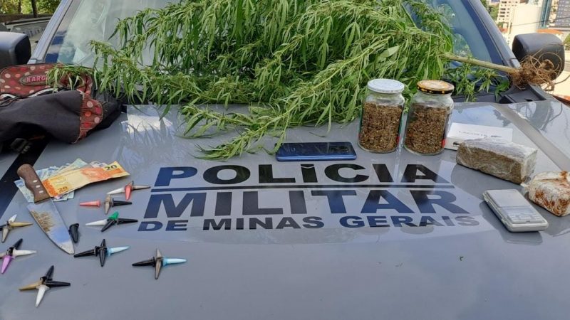 Pé de maconha, tabletes e potes da mesma erva apreendidos no Bairro Morada Nova