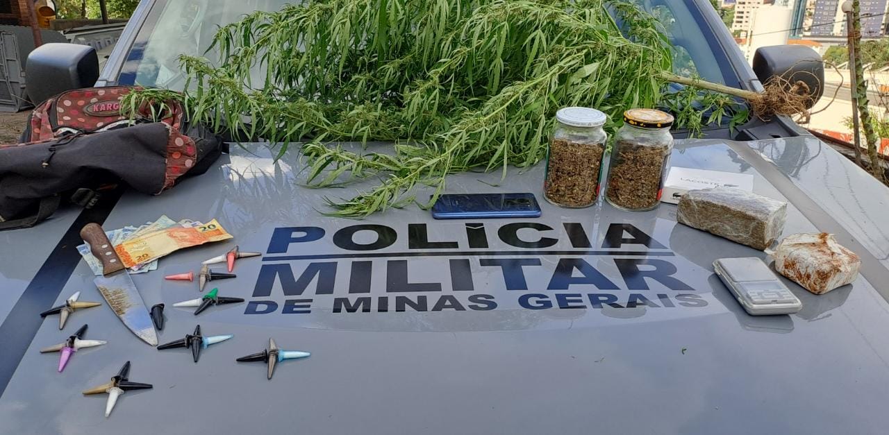 Pé de maconha, tabletes e potes da mesma erva apreendidos no Bairro Morada Nova