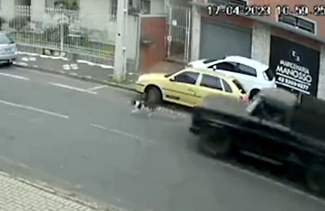 Vídeo grava momento que homem atropela cachorro e foge sem prestar socorro no Paraná