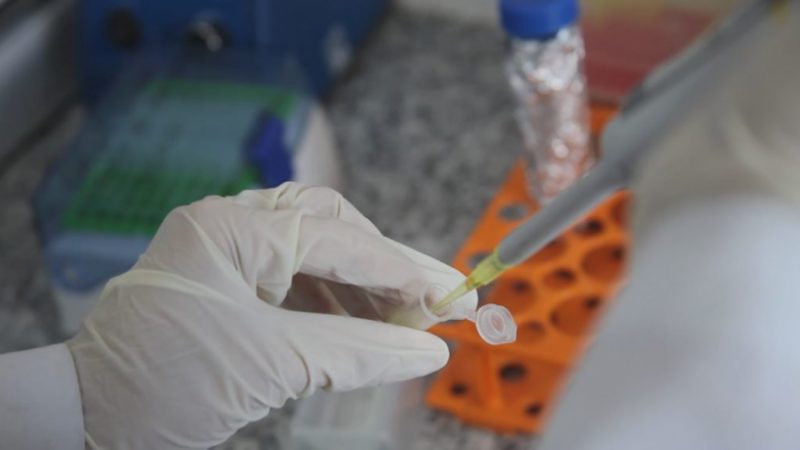 UFMG: Vacina para dependência de cocaína e crack é finalista em prêmio de inovação tecnológica