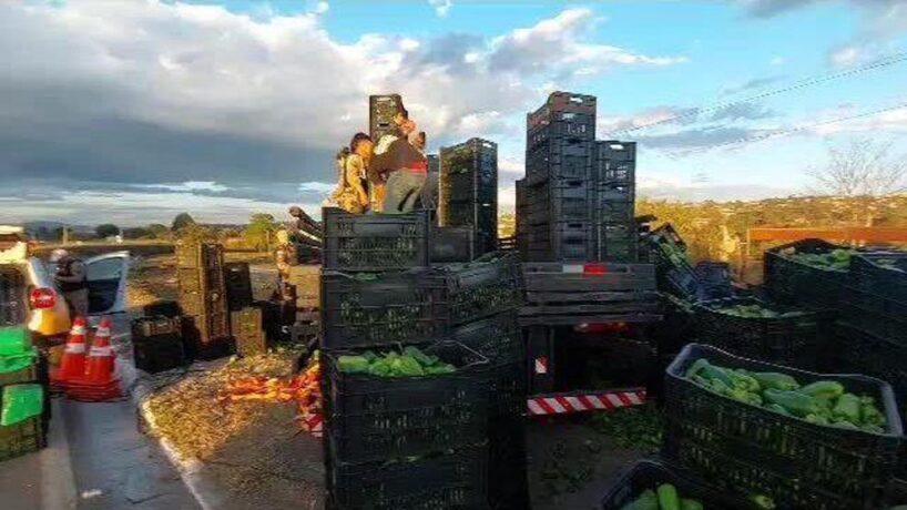 PMRv apreende uma tonelada de maconha escondida em carga de pimentões