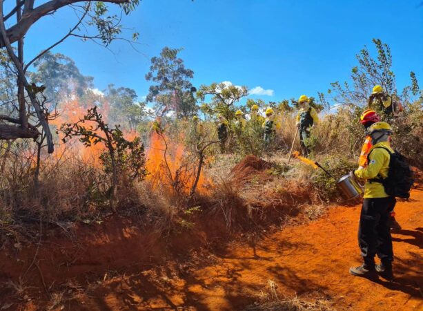 Usiminas mantém parceria de prevenção e combate a incêndios até o fim do período seco