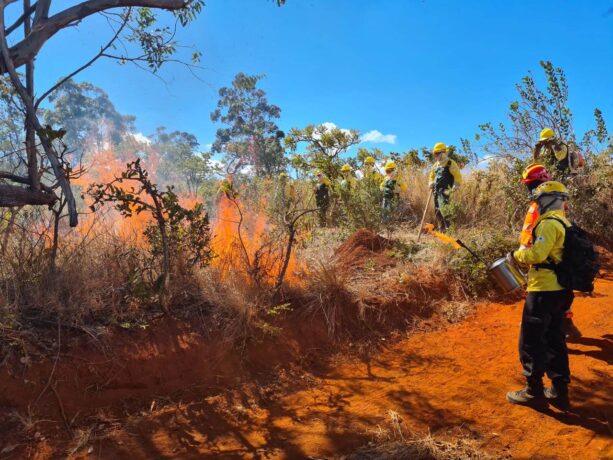 Usiminas mantém parceria de prevenção e combate a incêndios até o fim do período seco
