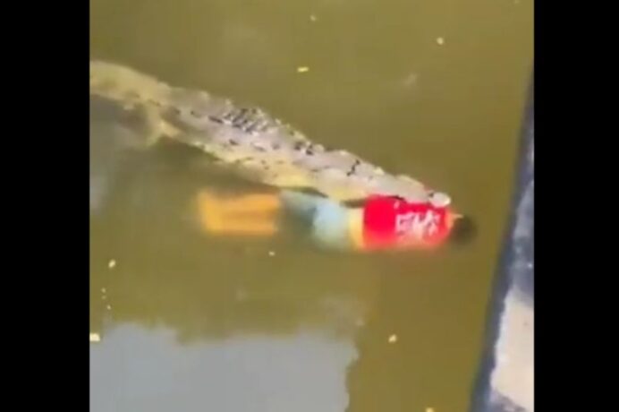 Imagens fortes: jogador da Costa Rica é morto por um crocodilo aos 29 anos