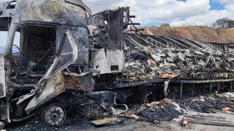 Vídeo: carreta carregada com peixes pega fogo na BR-381, em Betim