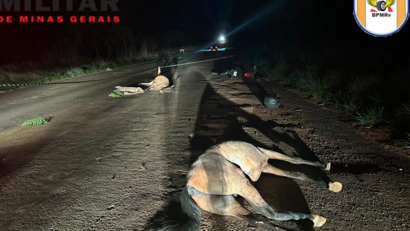 Motociclista morre depois de atropelar dois cavalos em Abaeté