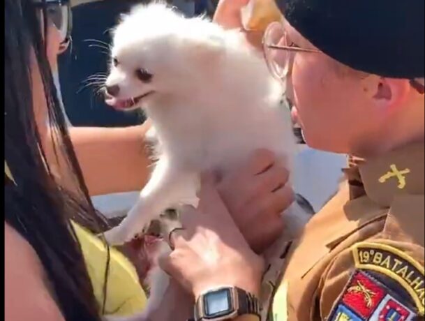 Vídeo: polícia quebra janela de carro para resgatar cão e tutores são presos