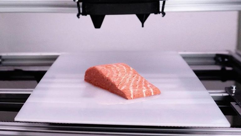 Vídeo: primeiro salmão vegano impresso em 3D chega aos supermercados europeus