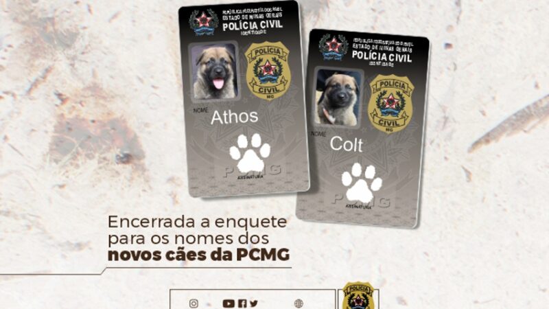 PCMG divulga os nomes dos novos cães da Coordenação de Operações com Cães (COC)