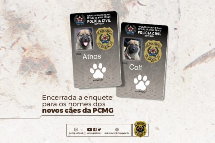 PCMG divulga os nomes dos novos cães da Coordenação de Operações com Cães (COC)