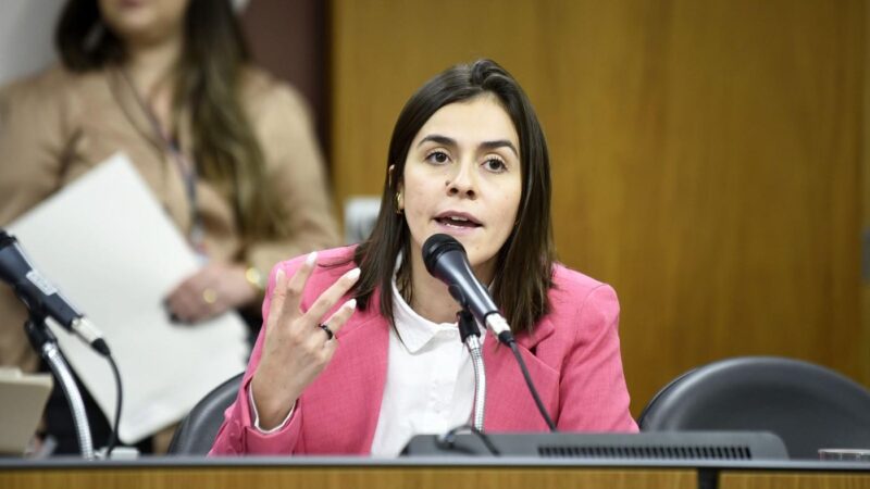 Deputada Lohanna anuncia R$ 1 milhão de emendas para Meio Ambiente no Estado