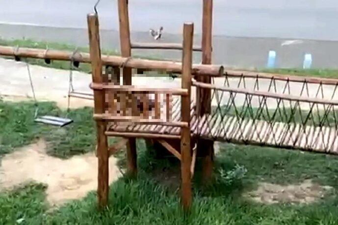 Cabeça de homem decapitado é encontrada em parque infantil em MG