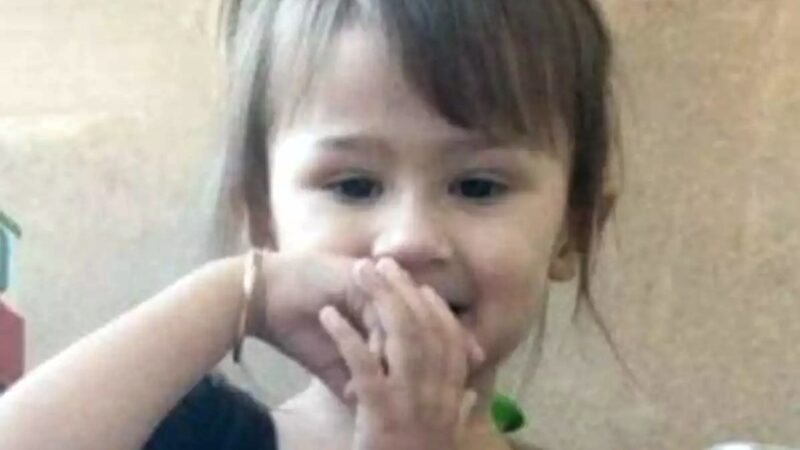 Vídeo: criança de 3 anos é espancada pelos pais até a morte e abandonada em mata