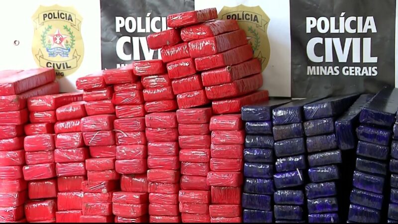 PCMG faz apreensão de quase 1,5 tonelada de maconha em Itaúna