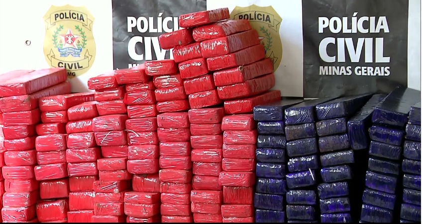 PCMG faz apreensão de quase 1,5 tonelada de maconha em Itaúna