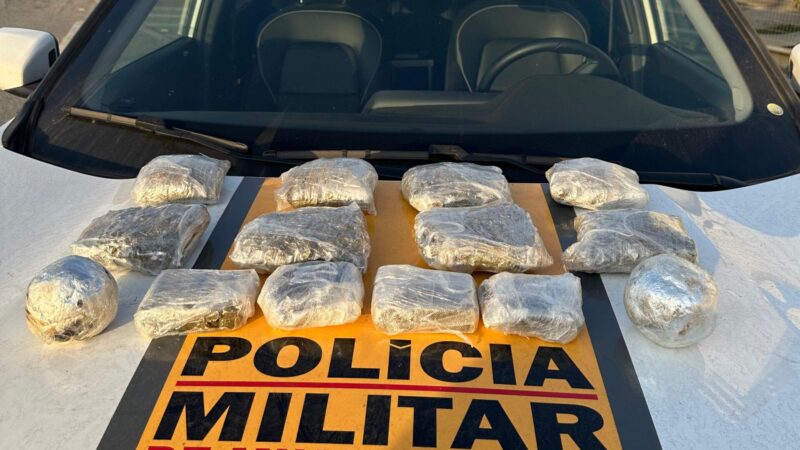 Vídeo: passageiro de ônibus de turismo é preso com drogas na MG 050