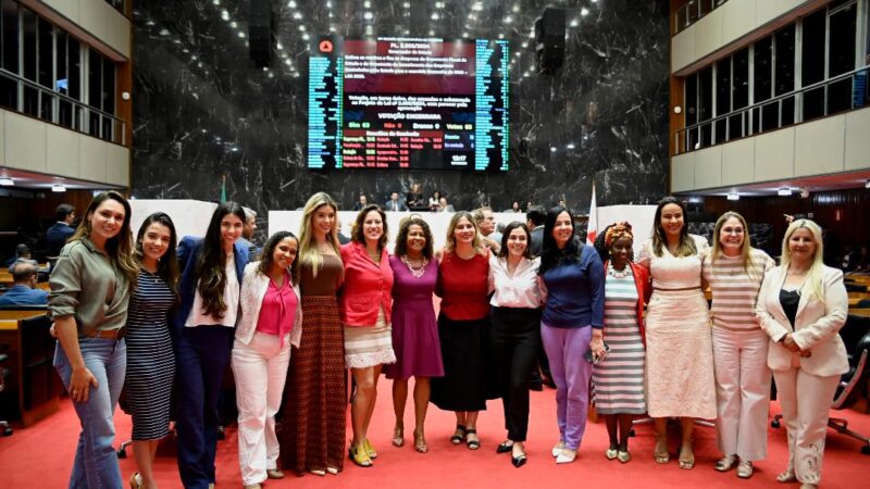 União da bancada feminina aprova emendas importantes no combate à violência contra a mulher