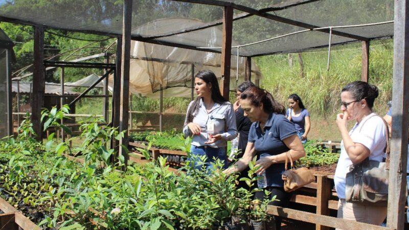 Mineração Usiminas recebe comunidade de Ponta da Serra no Viveiro de Mudas