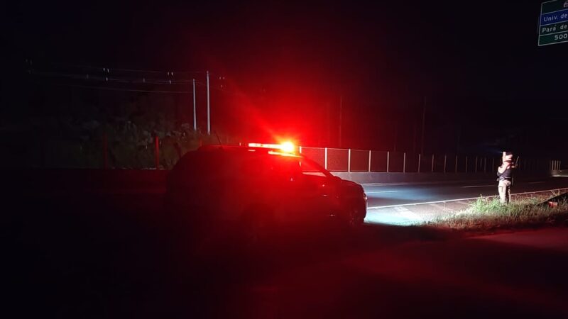 Homem em surto na rodovia 431 acreditava que era perseguido por uma sucuri de 8 metros