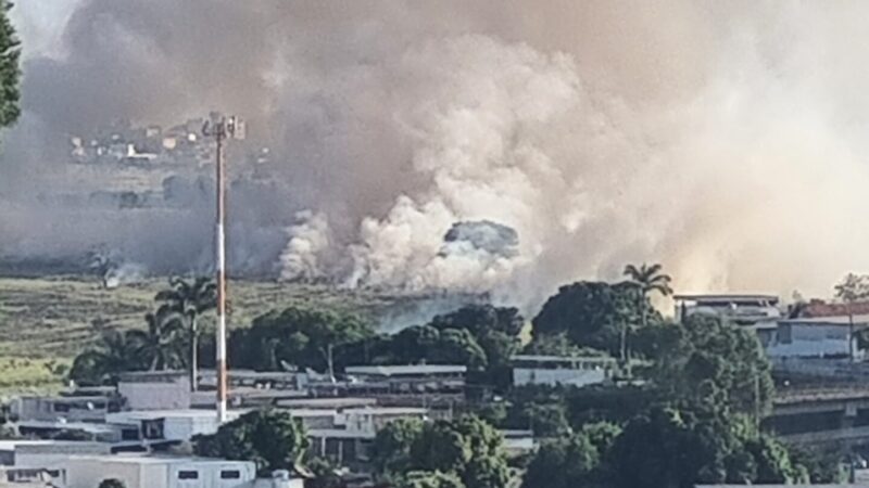 Aumento de incêndios florestais na região Centro-Oeste de Minas preocupa bombeiros